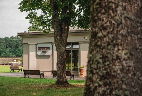 Mineral water pavilion “Birutės vila”