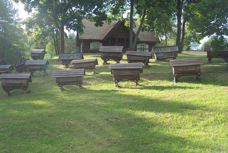 Stripeikiai Beekeeping Museum