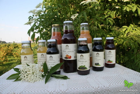 The Blankenfelde Estate