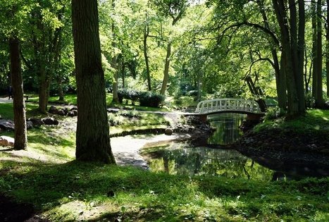Palangos botanikos parkas (Birutės parkas)