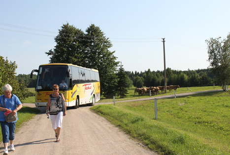 Buivydų EKO ūkis
