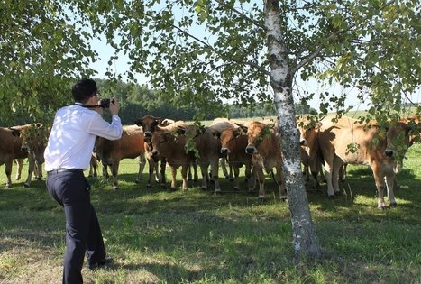 Buivydų EKO ūkis