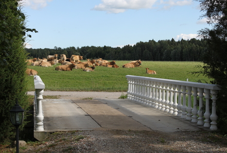 Buivydų EKO ūkis