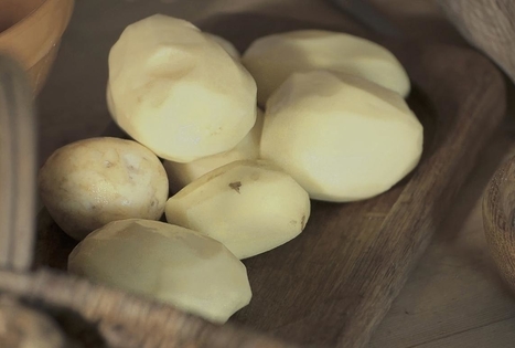 Dzūkiška banda sodyboje „Grikucis“