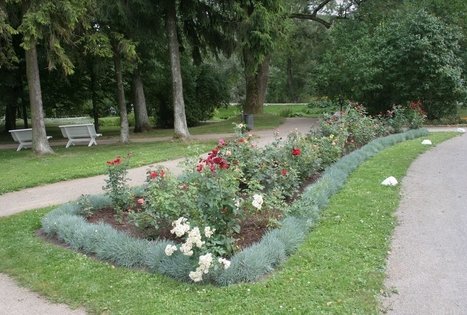 Burbiskis Manor Park