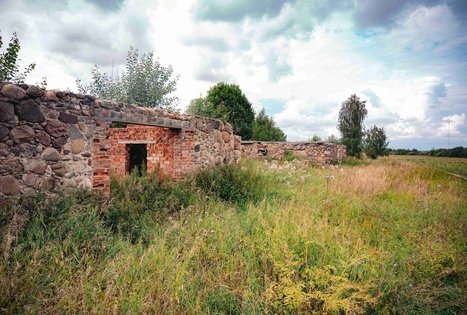 Forest Trail 69. Kirkšnovė – Kaulakiai.