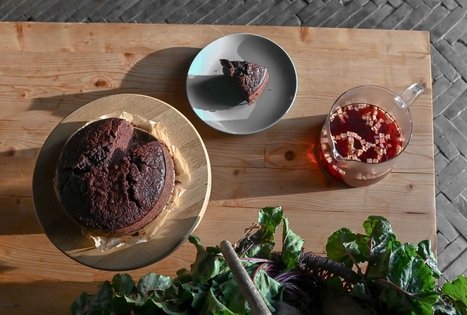 Pociūnėlių miestelio bendruomenė