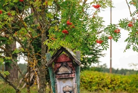 House of People's Artist Rimantė Butkuvė