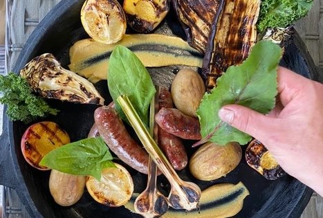 Highland Cattle farm