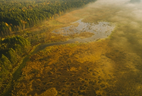 Cepkeliai Marsh Educational Trail