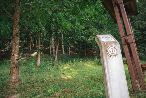 Forest Trail 70. Kaulakiai – Šiluva.