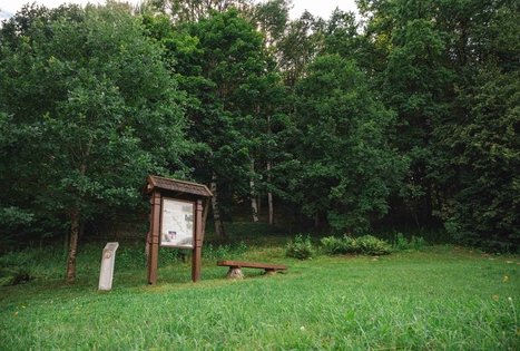 Danutė Hill (Lyduvėnai I)