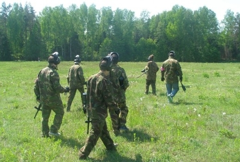 Dažasvaidžio kovos 