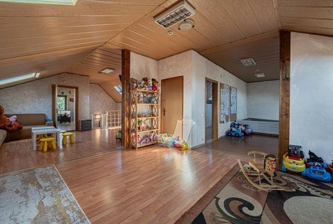 Homestead of Petrutė Račkauskienė