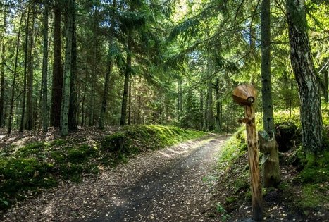 Dendrological educational trail