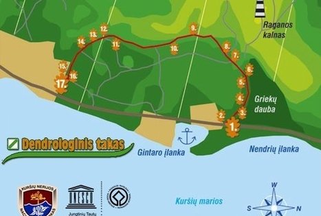 Dendrological educational trail