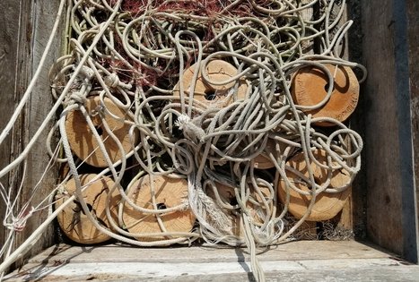 Neringa fishermen's education