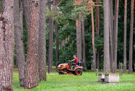 K. Dineikos sveikatingumo parkas