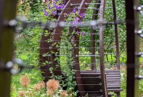 K. Dineikos sveikatingumo parkas