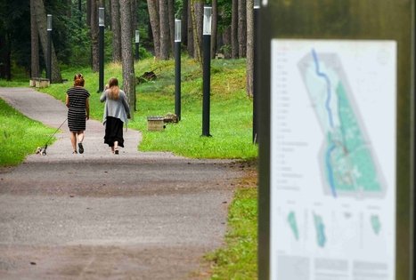 K. Dineikos sveikatingumo parkas