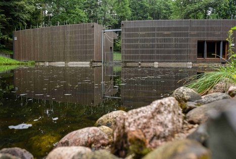 K. Dineikos sveikatingumo parkas