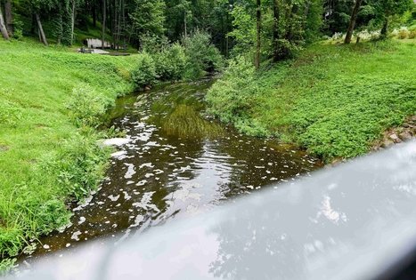 K. Dineikos sveikatingumo parkas