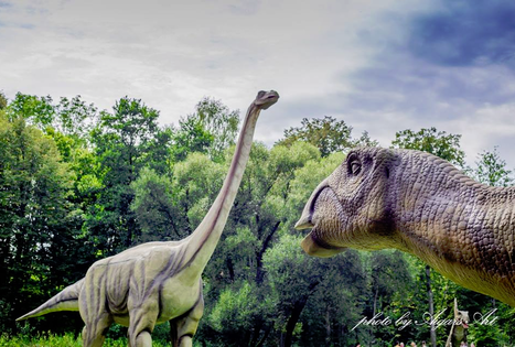 Dinozaurų parkas Dino.lt Radailiai ir Apverstas namas