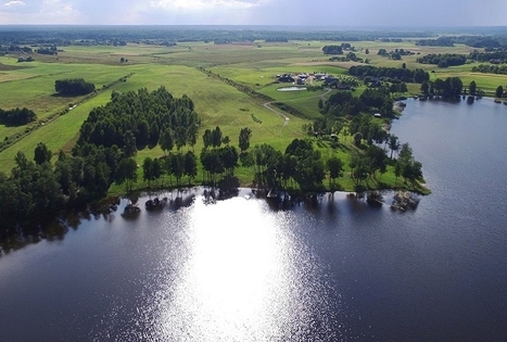 Homestead "Prie Labanoro"