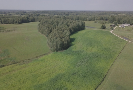 Kanapių ūkis Šironija