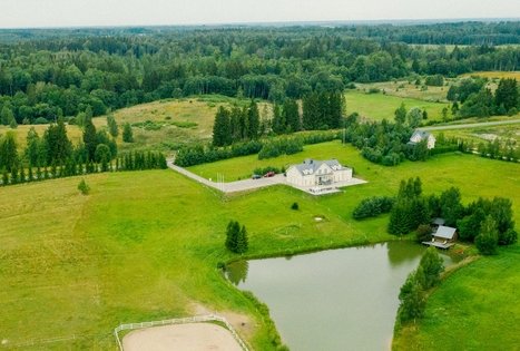 Vila vynuogyne