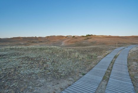 Nagliai Nature Reserve Educational Trail