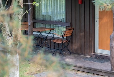 Homestead of Petrutė Račkauskienė