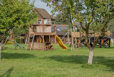 Homestead of Petrutė Račkauskienė