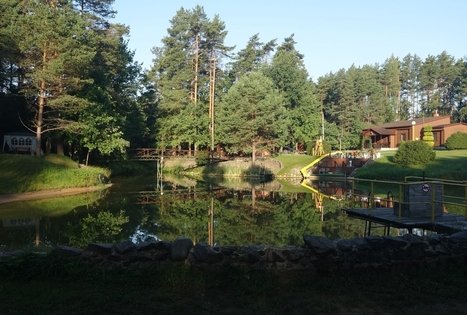 Homestead of Auda Peimienė "Pušyno stovykla"
