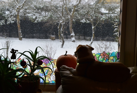 Kemperių stovyklavietė „Pajiešmeniai“