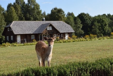 Elnių ir danielių aptvarai sodyboje „Auksinio elnio dvaras“