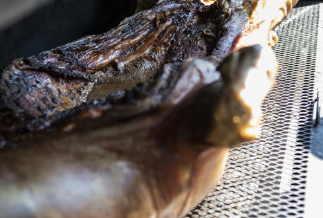 Sodyba „Antanėlio sapnas“