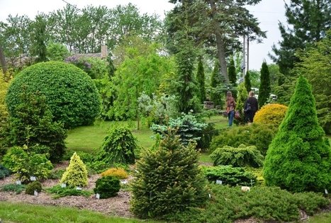 Botanical Garden of VU Siauliai Academy