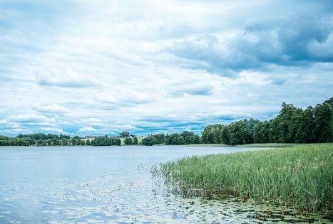 „Genutės sodyba“