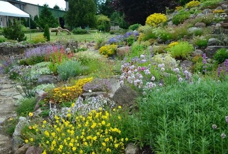 Botanical Garden of VU Siauliai Academy