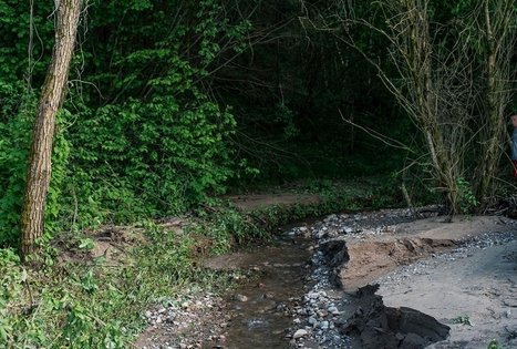 Campsite "Daugirdėnai"