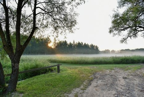 Campsite "Daugirdėnai"