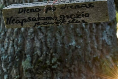 Campsite "Daugirdėnai"