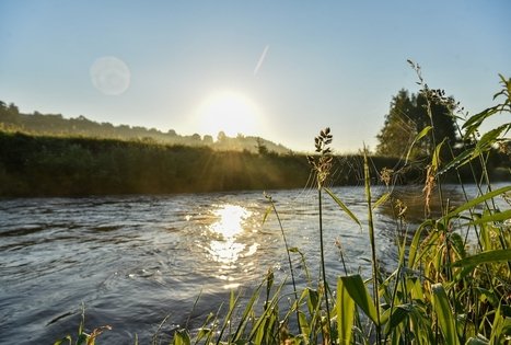 Campsite "Daugirdėnai"