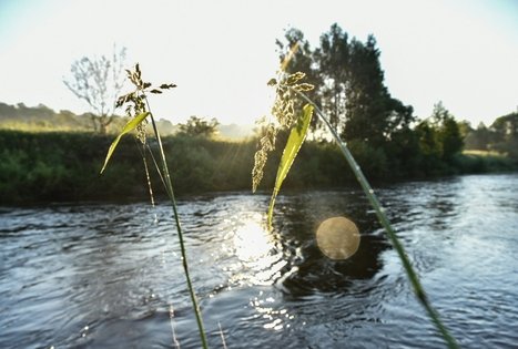 Campsite "Daugirdėnai"