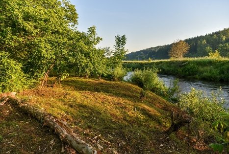Campsite "Daugirdėnai"