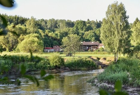 Campsite "Daugirdėnai"