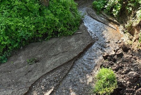 Campsite "Daugirdėnai"