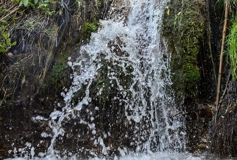 Campsite "Daugirdėnai"