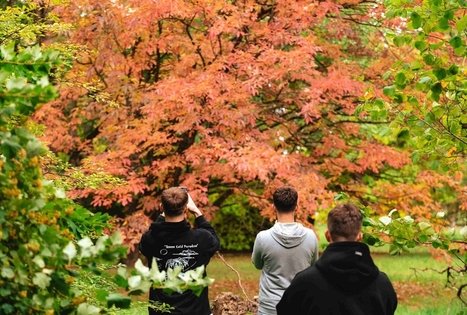 Forest Trail 62. Pakuonis – Vaišvydava.